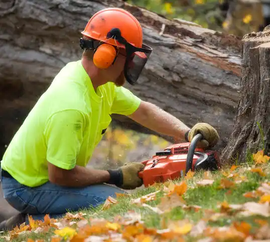 tree services Erskine